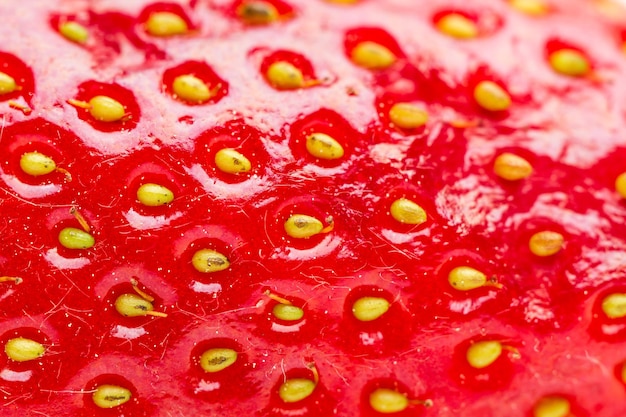 Texture d'une fraise dans une vue rapprochée