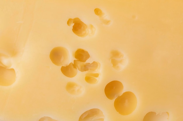 Texture de fromage avec de grands trousMorceau de fromage isolé