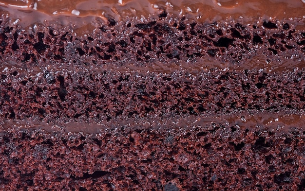 Texture de génoise au chocolat.
