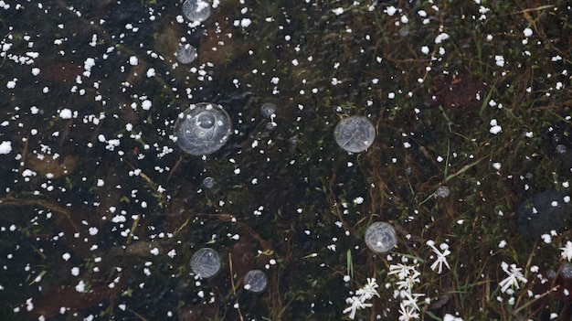 Texture de glace avec des bulles et de la neige