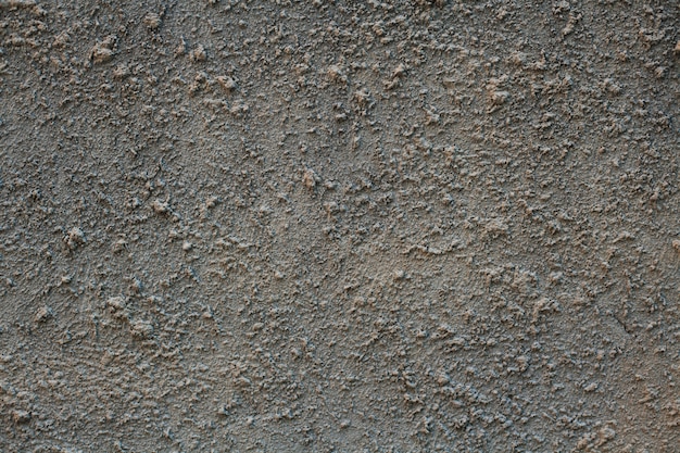 Texture gris béton