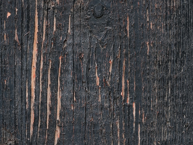 texture d'un gros plan de planche de bois naturel