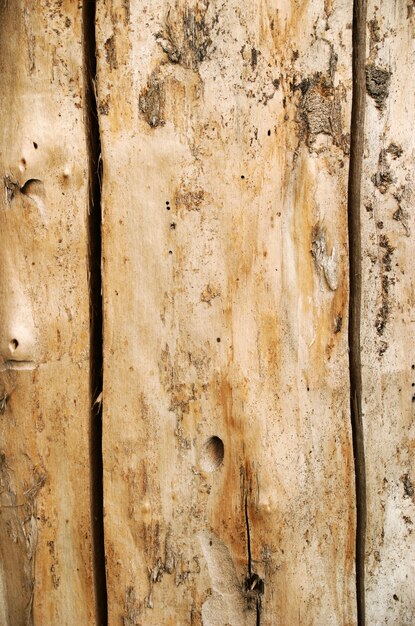 Texture grunge de bois