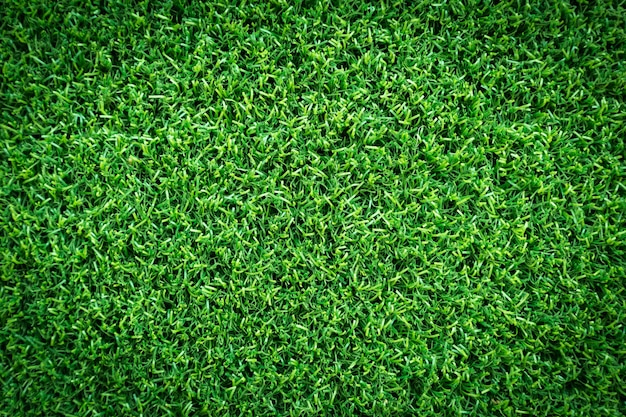 Texture de l&#39;herbe ou fond d&#39;herbe pour terrain de golf,