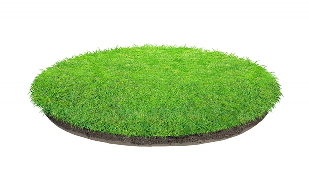 Texture d'herbe verte abstraite. Cercle d'herbe verte isolée