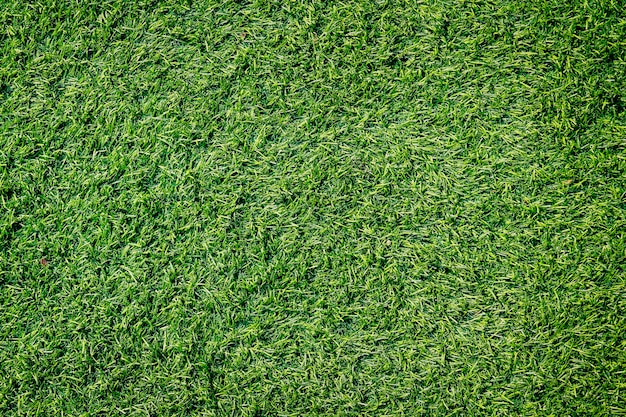 La texture de l'herbe verte artificielle avec filtre vintage peut être utilisée comme arrière-plan