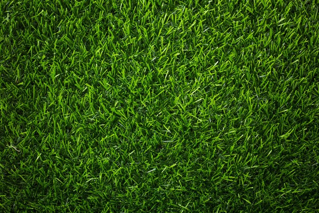 texture d'herbe verte artificielle pour le fond