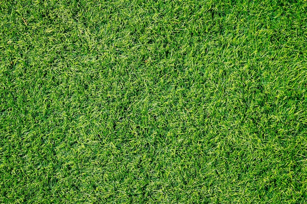 La Texture De L'herbe Verte Avec Filtre Vintage Peut être Utilisée Comme Arrière-plan