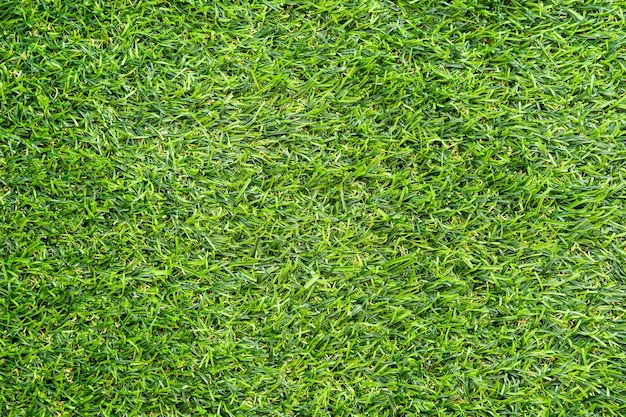 Texture d'herbe verte pour le fond. Motif de pelouse verte et fond de texture. Fermer.