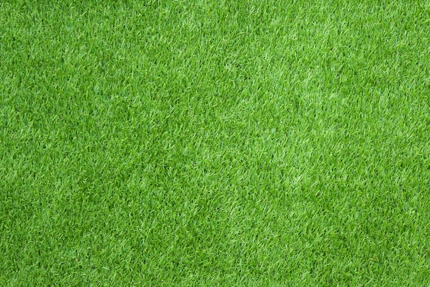 Texture d&#39;herbe verte pour le fond.