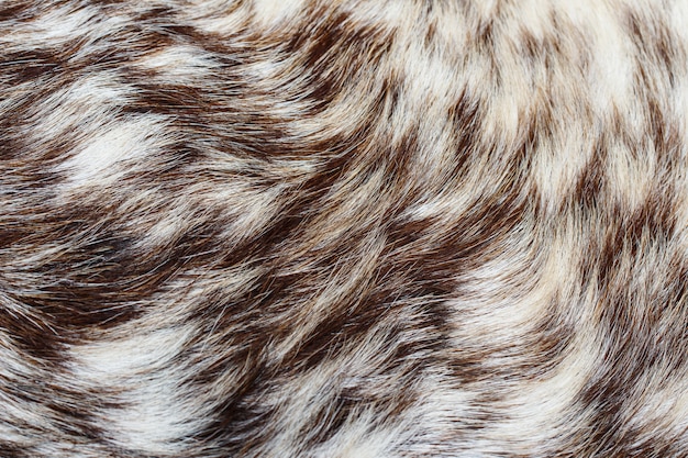 Texture de laine de chèvre pour le fond
