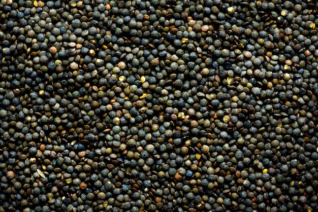 Texture de lentilles marbrées biologiques brutes. Ingrédient alimentaire.