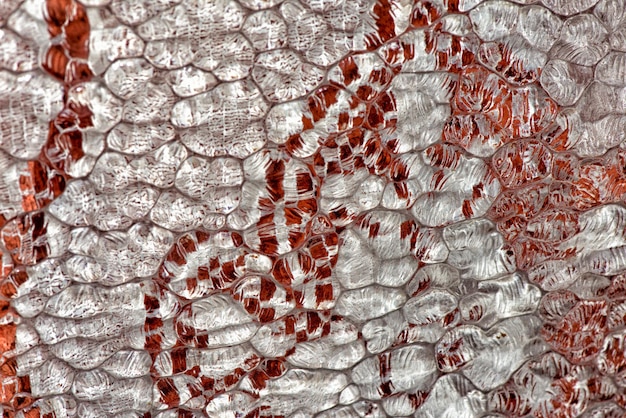 Texture liquide de fond en verre de Murano