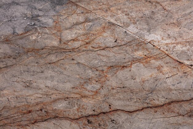 Texture de marbre à racines argentées dans des couleurs élégantes pour le travail d'intérieur