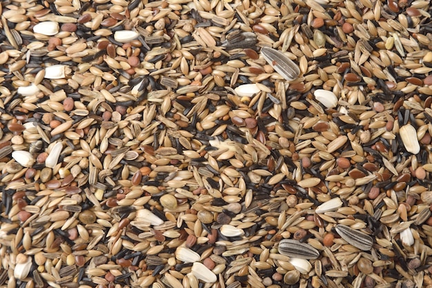 Texture de mélange de grains pour oiseaux type Chloris chloris