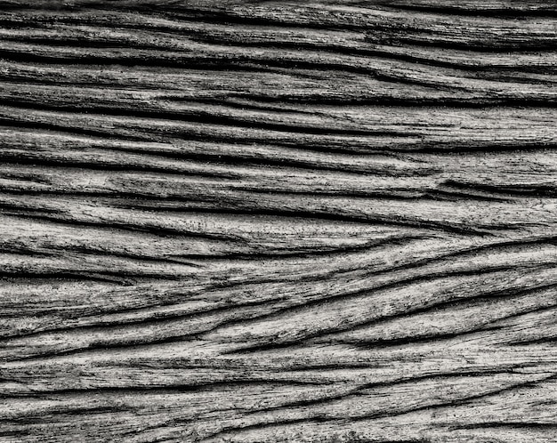 texture de modèle en bois noir