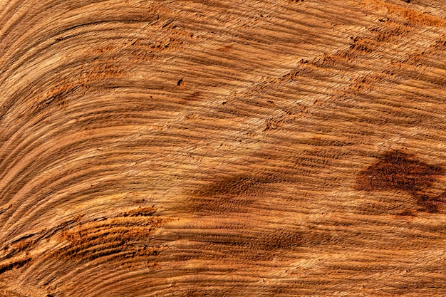 Texture de morceau de bois coupé avec une tronçonneuse