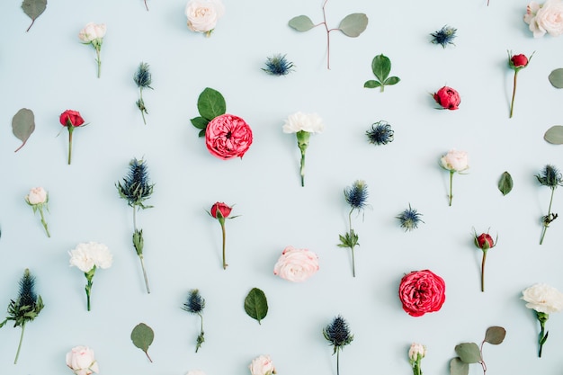 Texture de motif de fleurs faite de roses beiges et rouges, feuille d'eucalyptus sur bleu pastel pâle