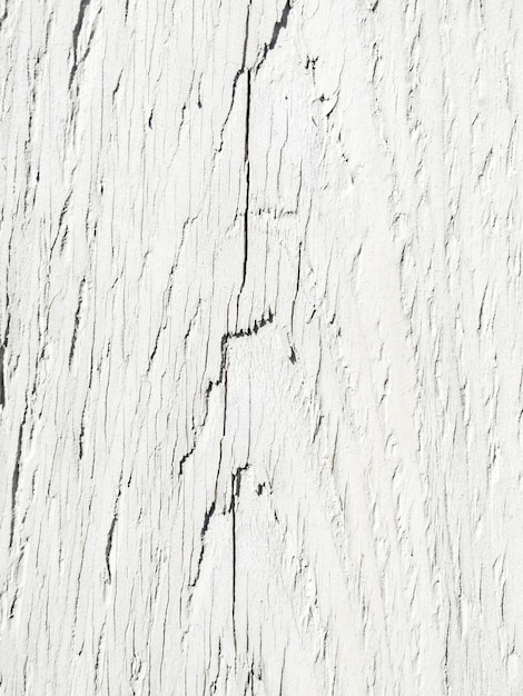Texture de mur en bois blanc de surface pour le fond