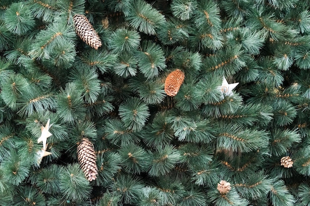 Texture de mur décoré de branches de sapin vert cônes de sapin fond de décorations de Noël