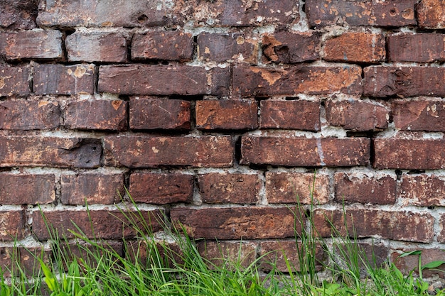 Texture de mur de vieille brique de Bourgogne sur un fond d'herbe