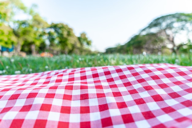 Texture de nappe à carreaux rouge avec sur l'herbe verte dans le jardin