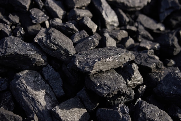 Texture naturelle de charbon dur pour l'industrie du charbon de fond