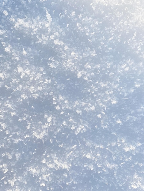 Texture de neige dans le champ vue rapprochée