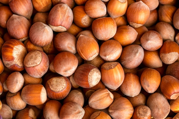 La texture de la noisette, la vue du haut.