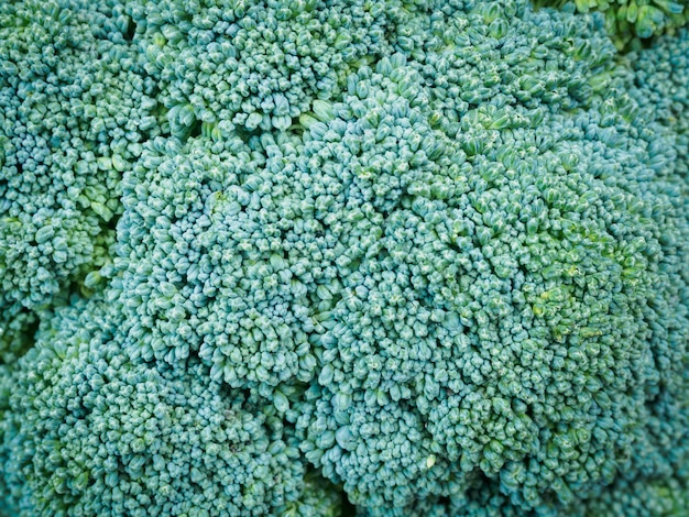 Texture de nourriture de brocoli vert