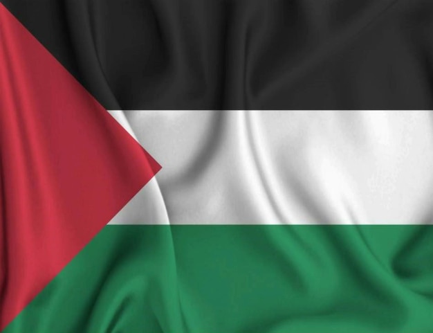 Texture de ondulation du drapeau palestinien