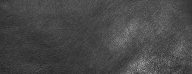 Texture panoramique du cuir de vache en peau de mouton noir traité