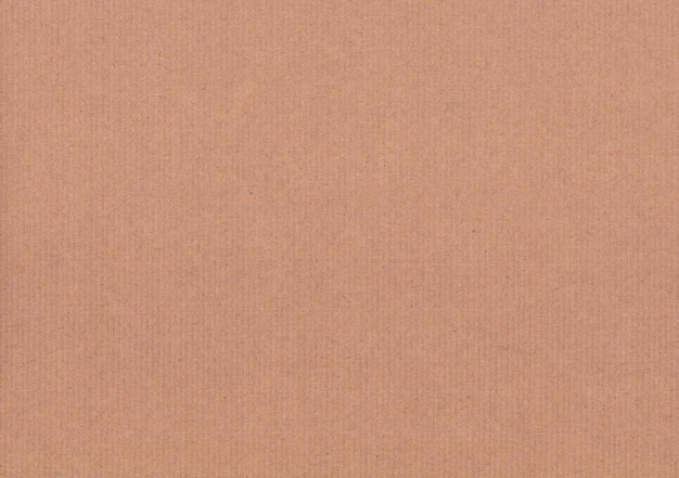 Texture de papier brun en carton Texture de surface brune