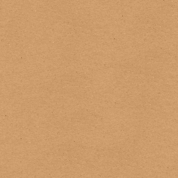 Texture de papier kraft sans soudure Matériau beige granuleux rugueux Une feuille de carton pour l'emballage