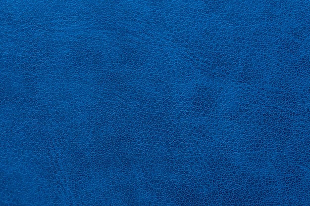 La Texture De La Peau Bleue