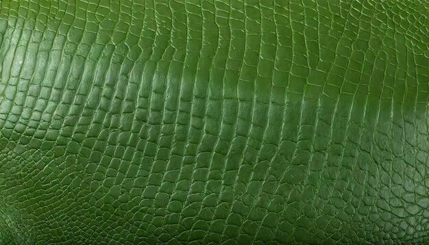 la texture de la peau de crocodile