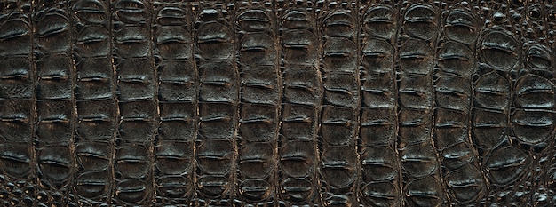 Texture de peau de dos de crocodile