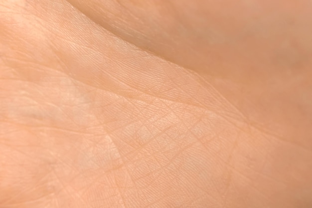 Texture de peau de palmier humain. Détail fond de peau rose sain. Jeune fille, photo de concept de soins de santé