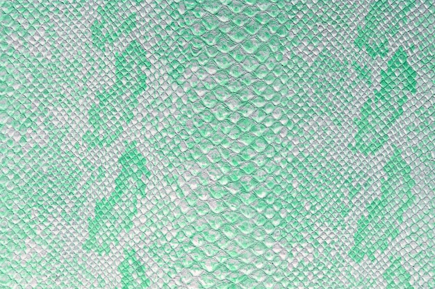 La texture de la peau de serpent en nuance de couleur