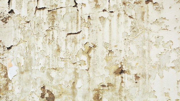 La texture de la peinture ancienne blanche s'écaille et se fissure au mur