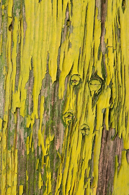 texture de peinture écaillée d&#39;une porte en bois