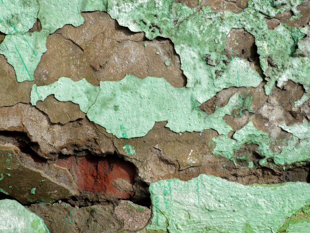 La texture de la peinture verte fissurée.