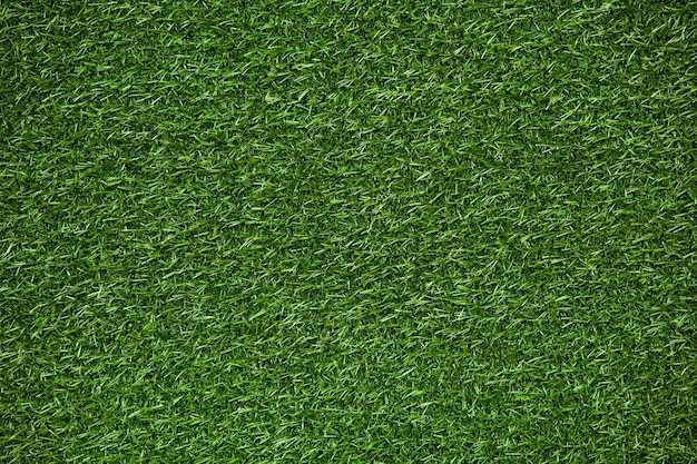 Texture de pelouse verte, fond d'herbe verte
