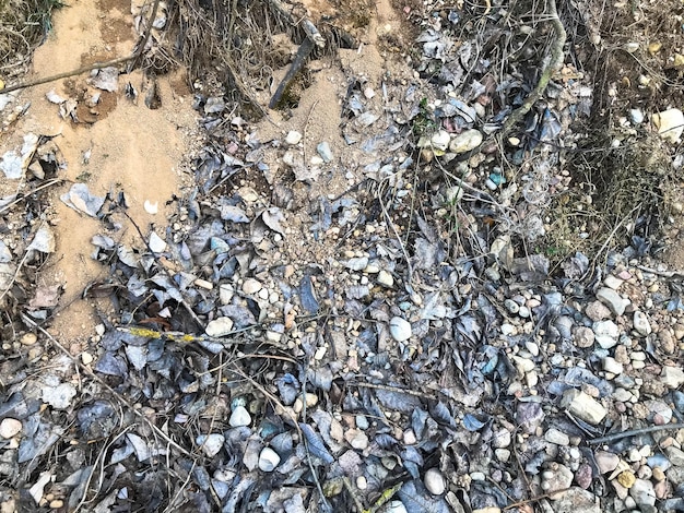 La texture des petits ronds de belles pierres naturelles pavés bâtons et brindilles dans les bois