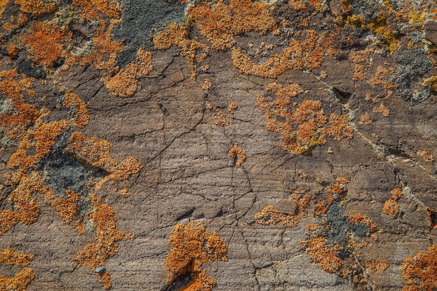 Texture de pierre naturelle, fond rugueux