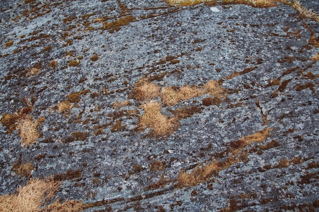 Texture de pierre naturelle avec de la mousse et de la moisissure. Place pour le texte ou la publicité