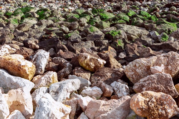 La texture des pierres recouvertes de diverses mousses près de la mer