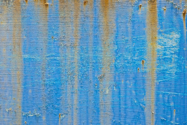 texture de plage de corail et de coquillages pour le fond d'été