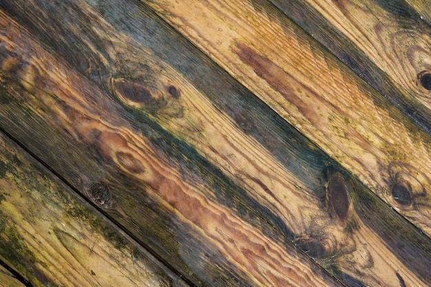 Texture de planche de bois humide