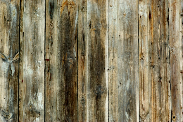 Texture des planches de bois